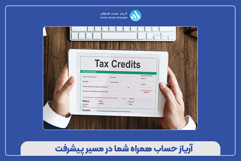 حمایت‌های دولتی و سرمایه‌گذاری